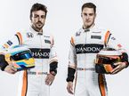 Фернандо Алонсо и Стоффель Вандорн