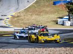 Ярко-жёлтый гипкеркар Porsche – машина, на которой выступал Дженсон Баттон и его напарники, фото JDC Motorsports
