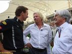 Берни Экклстоун, Ричард Брэнсон, глава концерна Virgin, и глава команды Red Bull Кристиан Хорнер