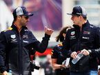 Даниэль Риккардо и Макс Ферстаппен