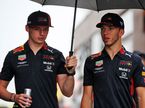 Макс Ферстаппен и Пьер Гасли
