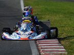 Андреа Кими Антонелли – чемпион Европы по картингу, фото из Facebook гонщика