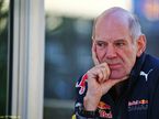Эдриан Ньюи, руководитель технического департамента Red Bull