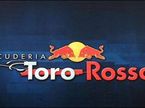 Логотип Scuderia Toro Rosso