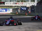 Гонщики Toro Rosso