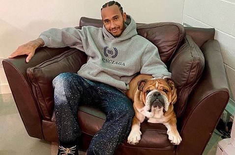 Льюис Хэмилтон и его собака Роско, фото из Twitter семикратного чемпиона мира